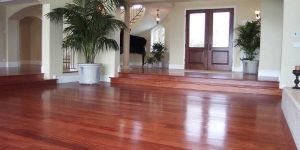 Advantages and Drawbacks of Mahogany Hardwood Flooring
